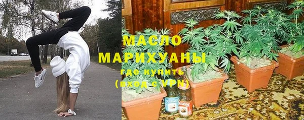 индика Баксан