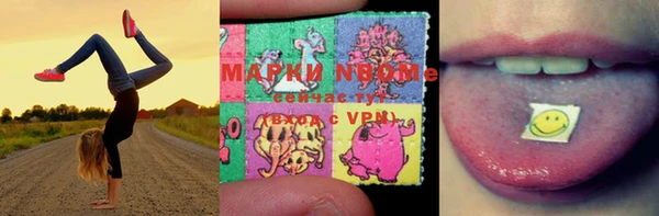 индика Баксан