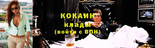 индика Баксан