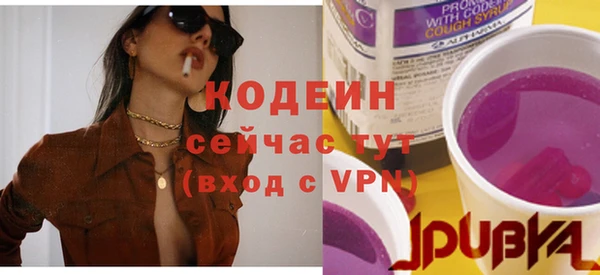 индика Баксан