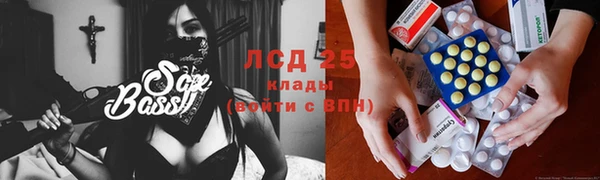 индика Баксан