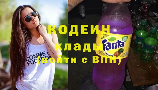индика Баксан