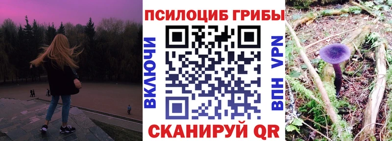 Галлюциногенные грибы мицелий  Ликино-Дулёво 